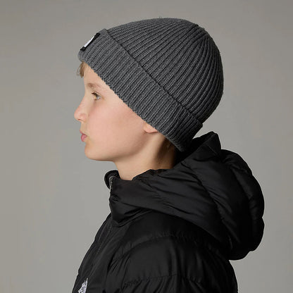 The North Face Hats Kids TNF Box Logo Cuffed Beanie Hat - Mid Grey