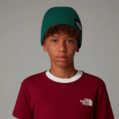 The North Face Hats Kids TNF Box Logo Cuffed Beanie Hat - Evergreen