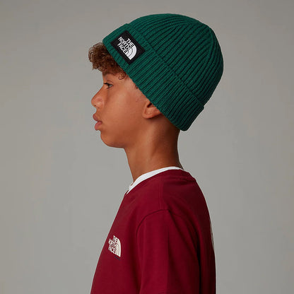 The North Face Hats Kids TNF Box Logo Cuffed Beanie Hat - Evergreen