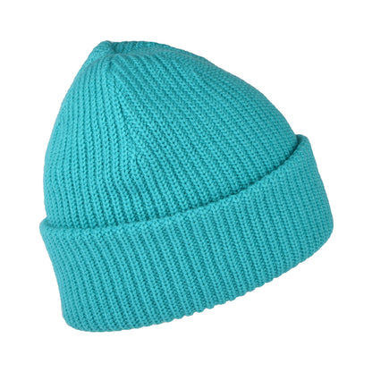 The North Face Hats Salty Dog Beanie Hat - Bright Blue