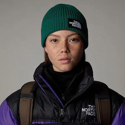 The North Face Hats TNF Logo Box Cuffed Fisherman Beanie Hat - Evergreen