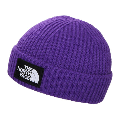 The North Face Hats TNF Logo Box Cuffed Fisherman Beanie Hat - Purple