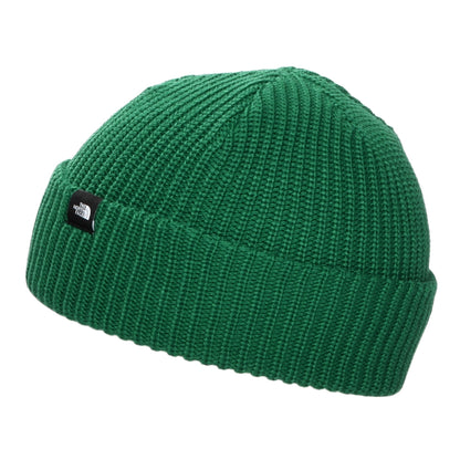 The North Face Hats TNF Recycled Fisherman Beanie Hat - Evergreen