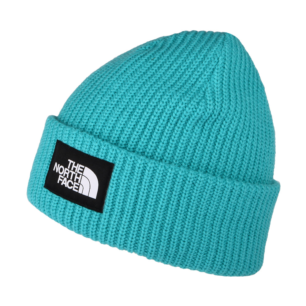 The North Face Hats Salty Dog Beanie Hat - Bright Blue